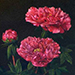 Sota Koike Gallery